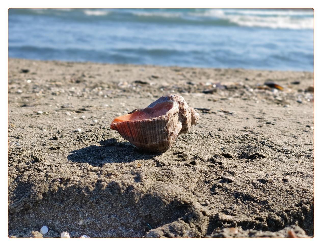 Marea Neagră - Mai 2020