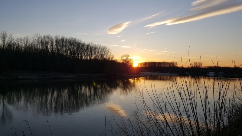 Faleza din Călărași