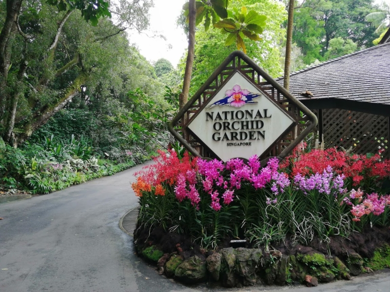 Singapore - Grădini și Gastronomie